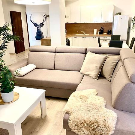 The Elite Suite Downtown A/C & Garage Parking Bratislava Exteriör bild